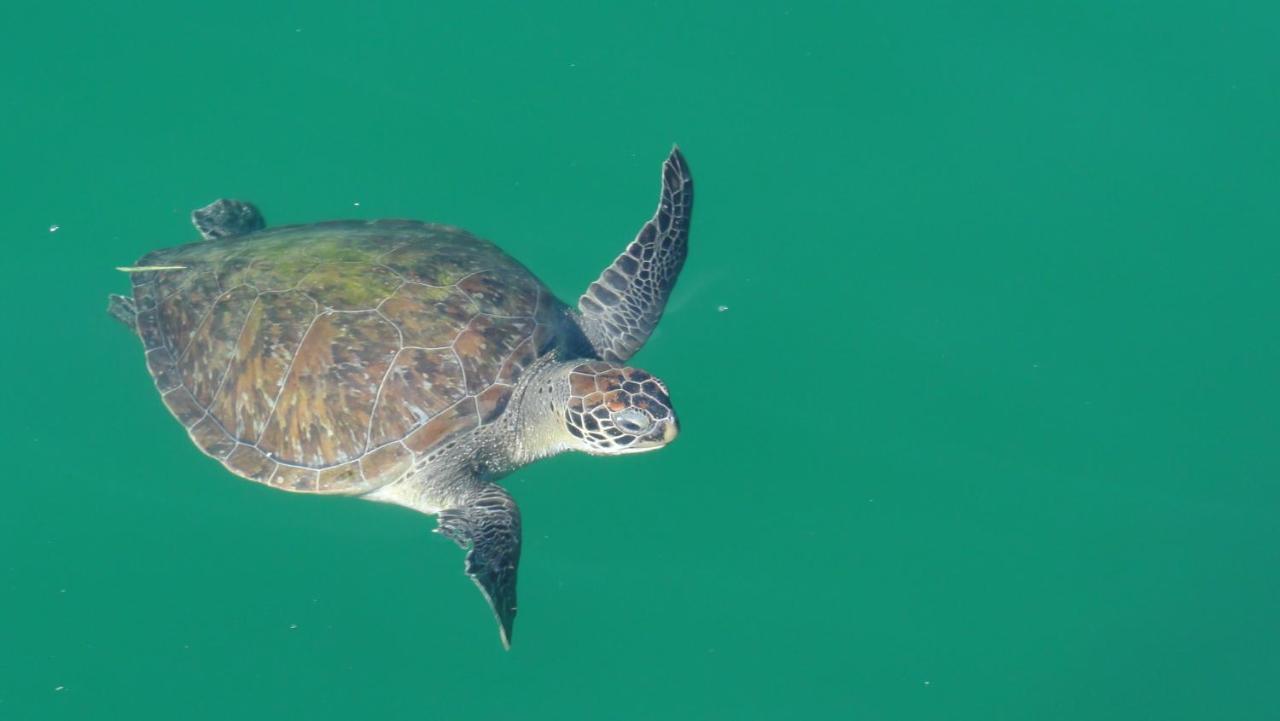 Pousada Cruzoe Praia de Aracatiba Luaran gambar